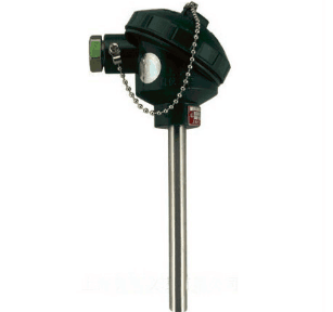 WZP2-120無固定雙支裝配式熱電阻