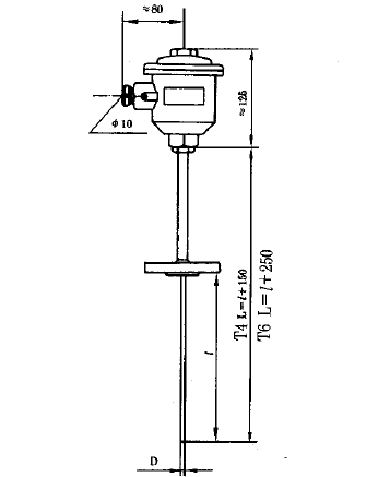 WRNK2-440隔爆型本安型雙支鎧裝熱電偶安裝圖片